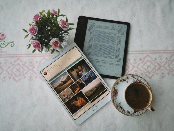 Top Pest-Repelling Plants for a Thriving Home Vegetable Garden